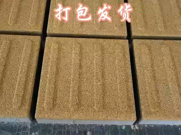 陶瓷透水砖 (2)